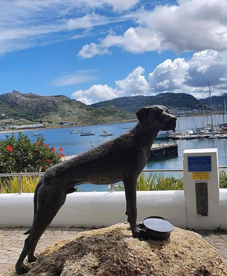 Villa Eindelik Simonʼs Town Esterno foto